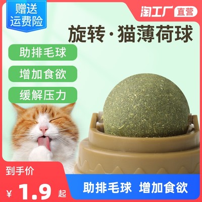 萌寵經(jīng)濟(jì)崛起 網(wǎng)購寵物用品成消費(fèi)新趨勢
